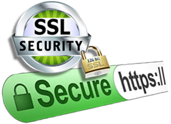 Website Secure Socket Level Certificates